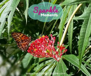 Sparkle Moments - beautiful butterfly gives us weekend inspiration