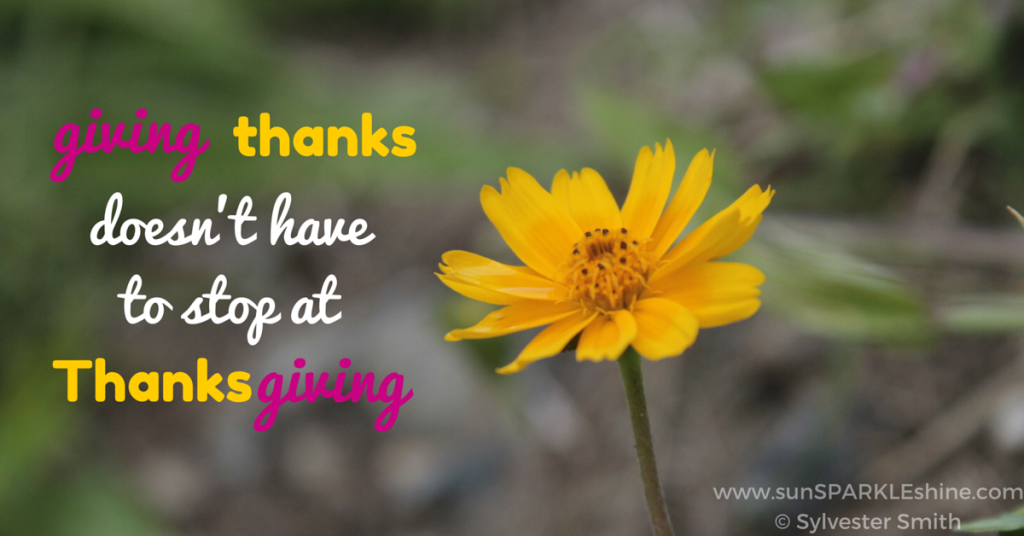 Are you focusing on giving thanks this month? This list will remind you of some things to give thanks for so you can keep growing in gratitude all year.
