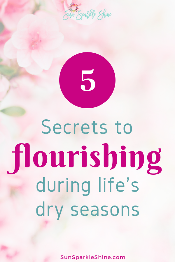 When we go through dry seasons we're tempted to lose faith. But it doesn't have to be that way. These tips will help you flourish during life's dry seasons.