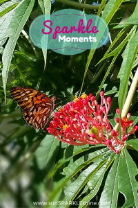 Sparkle Moments - a butterfly provides weekend inspiration