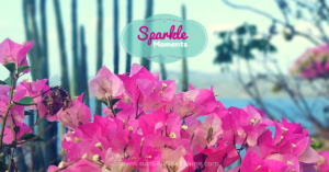 Sparkle Moments: Sharing little glimpses of sparkle and holiday inspiration. Reflect, remember how awesome God is and then enjoy a weekend that sparkles!