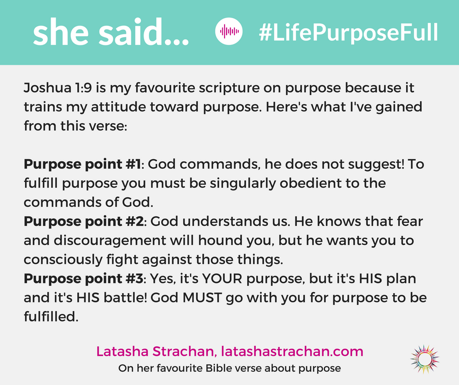 Do you have a fear of missing out on God's purpose in your life? Allow these 3 scriptures to encourage your soul and remind you of God's promises. This is part of the #LifePurposeFull series about seeking and fulfilling God’s purpose in your life. 