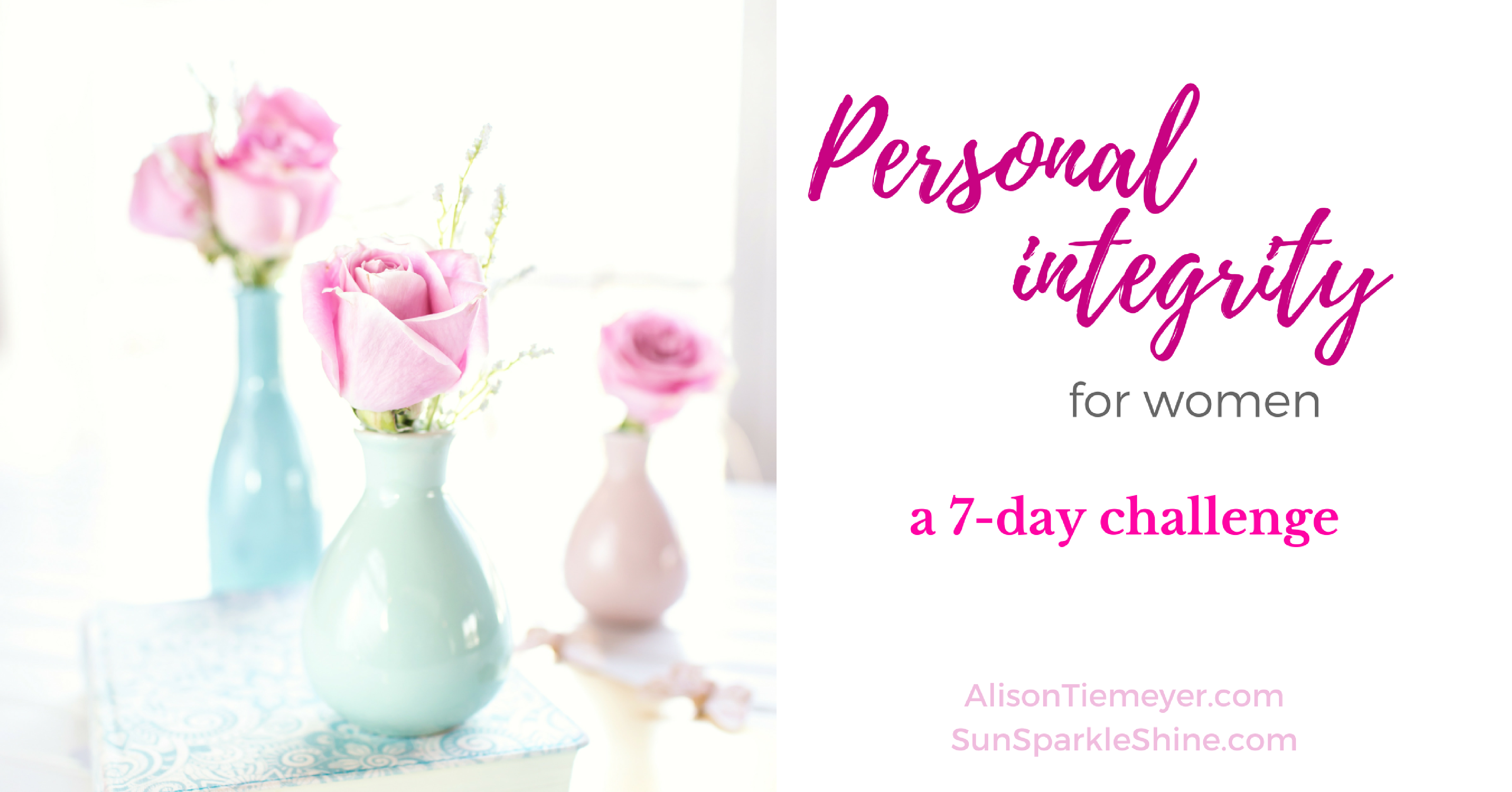 What does personal integrity mean to you? For women of God, it's more than just avoiding lying and stealing. Take this 7 day challenge to find out more. SunSparkleShine.com