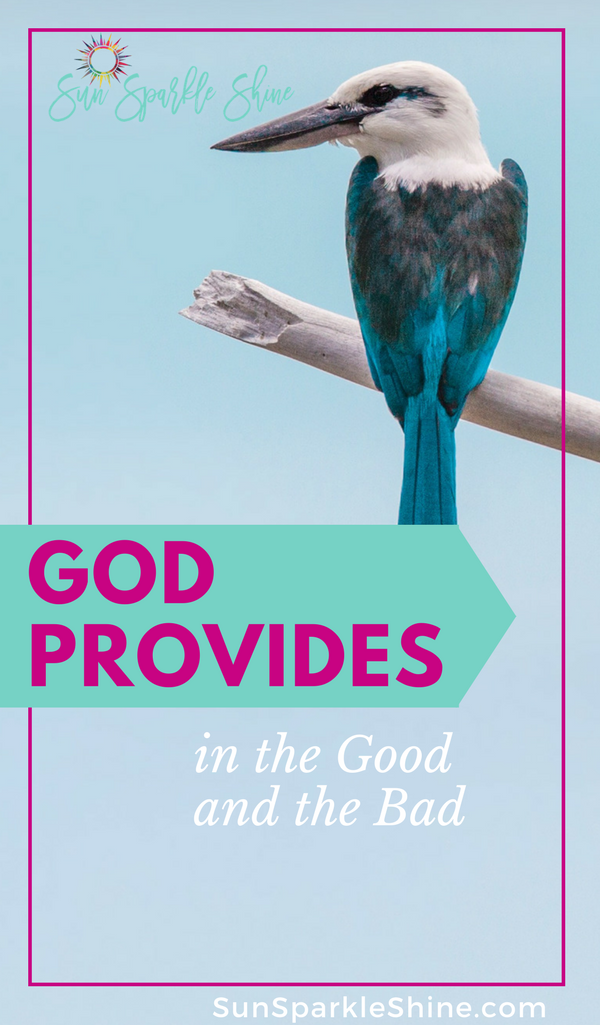 God provides in the good and the bad. His loving kindness never fails us even when we don't see it. How has He provided for you today?