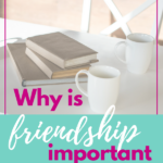 Why is Friendship Important in a Disconnected World
