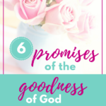 6 Promises of the Goodness of God