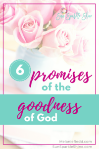 6 Promises of the Goodness of God are laid out in His word. #Godspromises #faith #hope